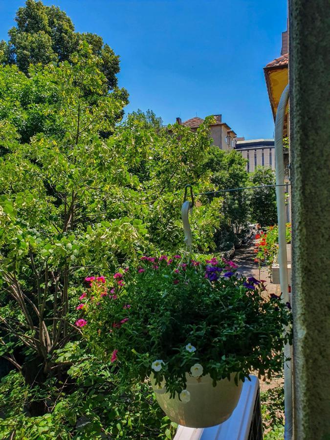 Apartament Roza Sofia